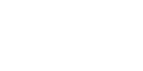 Vitalité